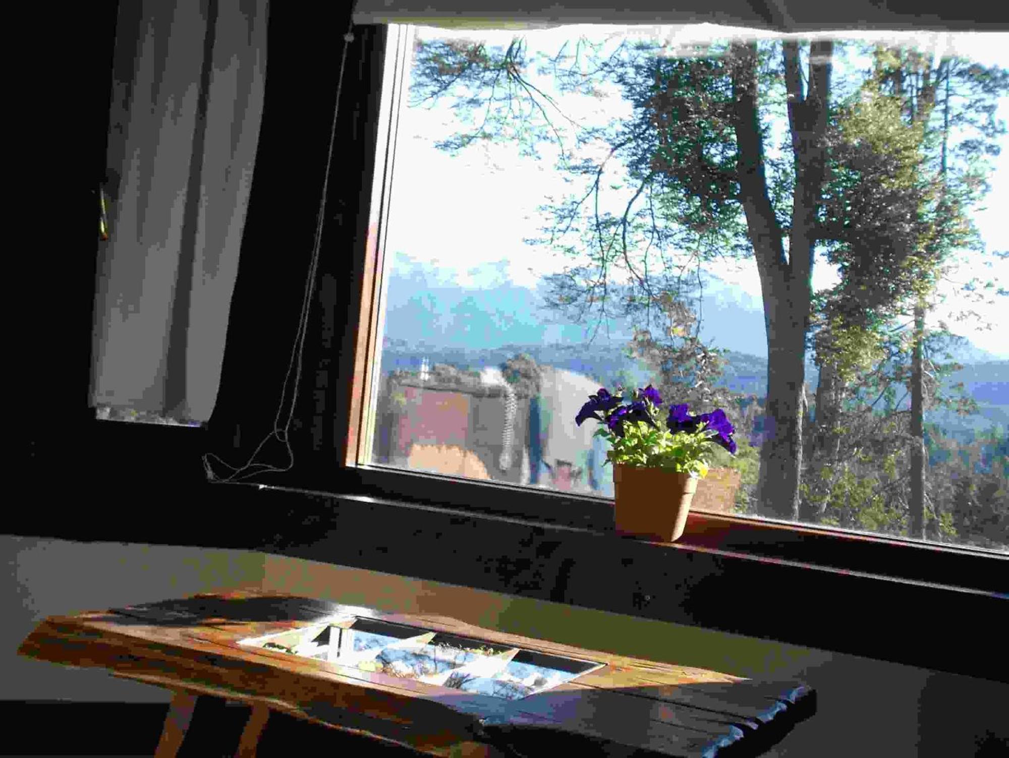 Hosteria Naranjo En Flor 빌라라앙고스투라 외부 사진